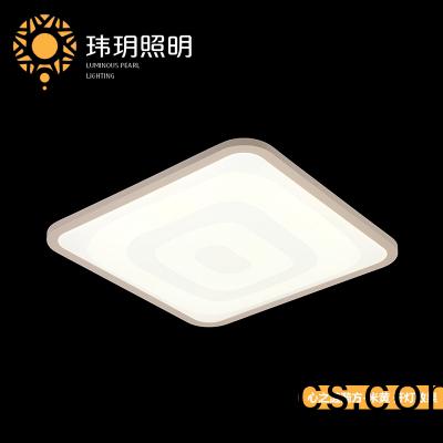 艺(yi)术(shu)家(jia)居(ju)吸(xi)顶(ding)灯(deng)