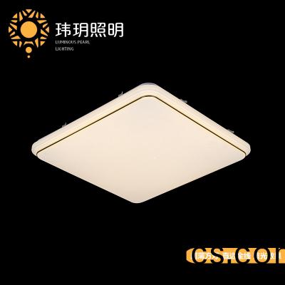 艺术吸(xi)顶灯(deng)