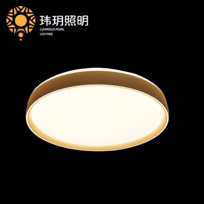 家(jia)装灯饰公司